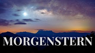 Morgenstern Lyric Video [upl. by Enyak958]