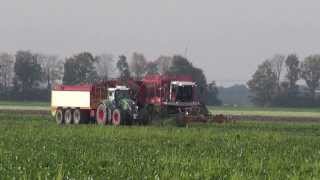 Suikerbieten rooien 2013 met breure Vervaet beet eater 925  2x Fendt met veenhuis 3 asser [upl. by Meer735]