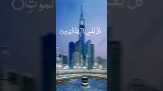 سورہ بقرہ کی تلاوت قرآن کریم سورةالبقرة قرانكريم [upl. by Anwahsit502]