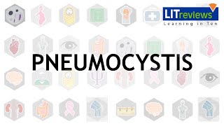 Pneumocystis [upl. by Marelya69]