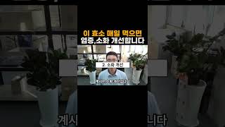 이 효소 매일 먹으면 염증 소화 개선합니다 [upl. by Meek]