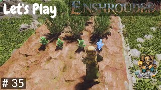 Lets Play Enshrouded Solo Farming and Gardening [upl. by Gunas]