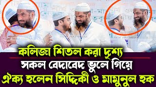 ঐক্য হলেন সিদ্দিকী ও মামুুনুল হক Alhamdullah বাংলাদেশে ইসলামে সূর্য উদিত হবে  ইনশাআল্লাহ [upl. by Stempson223]