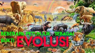 BuktiBukti Evolusi Biologi Kelas 12 [upl. by Wickham]