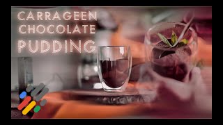 Irish Moss Chocolate Pudding Google Food Andris Ungurs [upl. by Obola]