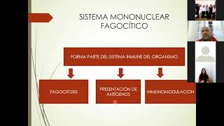 Sistema Mononuclear Fagocitico Clase 28072021 [upl. by Nosle]