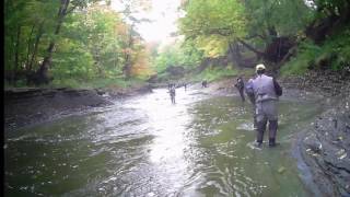 Steelhead Fishing Walnut Creek 10252016 [upl. by Ardnoet]