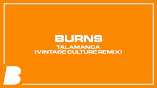 BURNS  Talamanca Vintage Culture Remix [upl. by Tillford]