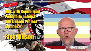 Republican pundit Rick Wilson comes at me in DM [upl. by Nomla]