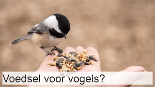 Wat voor soort voedsel is geschikt voor vogels [upl. by Rudd]