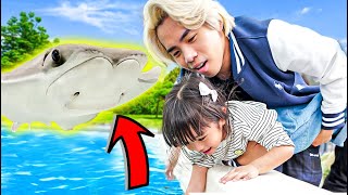 My 3 Year Old Daughter feeds an Enormous Stingray at SeaWorld [upl. by Struve]