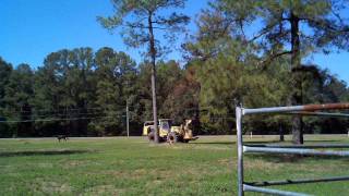 611 Hydro Ax cuts 80ft tree [upl. by Jeniffer]