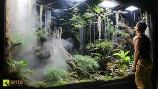 Invasive Ants Broke Into My Giant Rainforest Vivarium [upl. by Bowie681]