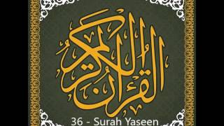 36  Surah Yaseen  Qari Asad Attari AlMadani [upl. by Tnahsarp]