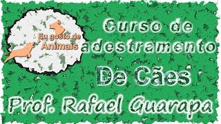 Curso de Adestramento de Cães  01  Demonstrações [upl. by Seessel]