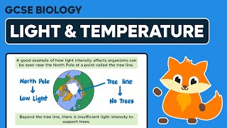 Abiotic Factors Light amp Temperature  GCSE Biology [upl. by Esmaria]