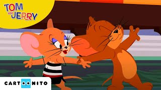 Tom and Jerry  Grappige momenten met Jerry seizoen 1 deel 3  Cartoonito [upl. by Jeffery886]