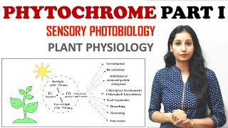 PHYTOCHROME PART I Sensory Photobiology I Plant Physiology I Photostationary Equilibrium I PHY GENE [upl. by Rennoc]