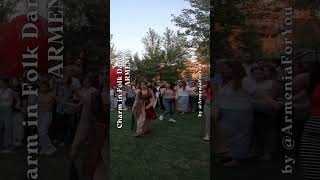 Charm in Folk Dance 💃 ARMENIA 🇦🇲 short 018 [upl. by Annehsat]