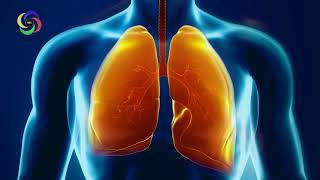 Frequency of Lungs 220 Hz  Monaural  Pure  Organ  Music For Treatment RMBB [upl. by Fitz]