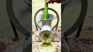 Meat Grinder VS Vegetable Experiment [upl. by Lovering]