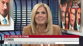 Cerdos El editorial de Viviana Canosa [upl. by Martinson150]