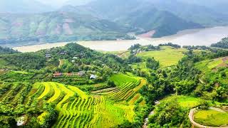 Beautiful charming Vietnamese countryside  Stunning rice fields peaceful village seen from above [upl. by Ajiam]