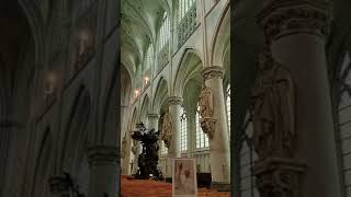 St Rumbolds Cathedral Mechelen Belgium Please subscribe my channel to see more thanksbelgium [upl. by Jaynes569]