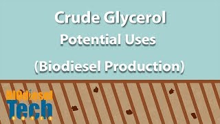 Potential Uses of Crude Glycerol from Biodiesel Production [upl. by Aicssej977]