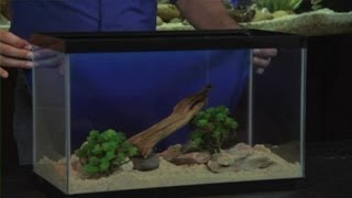 Setting Up a 10Gallon Aquarium  Aquariums amp Fish Tanks [upl. by Can921]