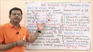 Antiarrhythmic Drugs Part 03 Sodium Channel Blocker Mechanism of Action  Na Channel Blocker [upl. by Adelheid]