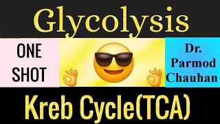 Kreb CycleTCAand Glycolysis complete in one video by Dr Parmod Chauhan♦️Free Pdf♦️chauhanclasses [upl. by Alyn]