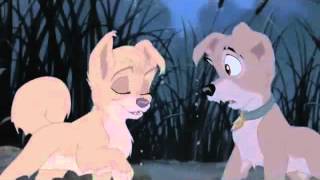 Lady And The Tramp 2 Music Video Kissin You [upl. by Razec367]