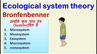 ECOLOGICAL SYSTEMS THEORY IN HINDI [upl. by Goulette]