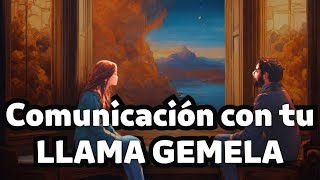 7 Formas de COMUNICACIÓN con tu LLAMA GEMELA [upl. by Ytissac797]