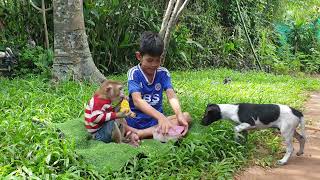 Monkey Yoko eating corn with brother Ratanak [upl. by Atterehs]