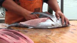 How to Fillet an Oregon Albacore Tuna [upl. by Agripina111]