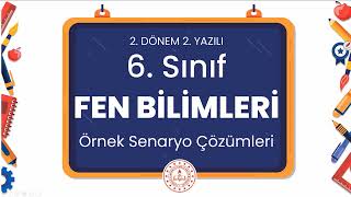 6 Sınıf Fen Bilimleri 2 Dönem 2 Yazılı Örnek Senaryo Çözümleri [upl. by Tasiana]