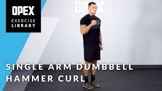 Single Arm Dumbbell Hammer Curl  OPEX Exercise Library [upl. by Pedaias232]