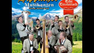 Hippacher Musikanten Gruss an Ettlingen Polka [upl. by Matuag]