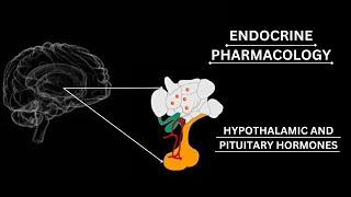 GonadotropinReleasing Hormone GnRH  AGONISTS AND ANTAGONISTS pharmacology katzung lippincot [upl. by Ibrik]