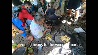 Using a stone pestle to make Koko Samoa [upl. by Garretson]