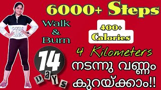 Fat Blast for 30 Mins  400 Calories  6000 Steps  Walking Cardio Workout [upl. by Doralyn]