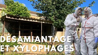 EP6Désamiantage et xylophages [upl. by Sellma]