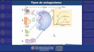 Farmaco Antagonistas y Agonistas USTABuca [upl. by Ecilegna]