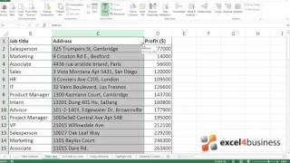 How to Filter Text in Excel 2013 [upl. by Artus]