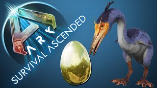 So TAMINT ihr ein HESPERORNIS und bekommt Ihr GOLDENE EIER  EGGS TUTORIAL  ARK ASCENDED [upl. by Modie]