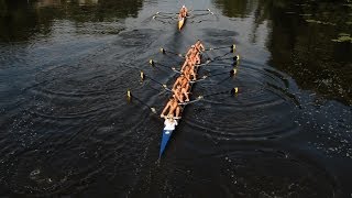 Rowing Its Good For Your Brain [upl. by Ayifas]