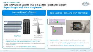 Innovative Technologies for Antibody Discovery Transforming Hit Generation amp Lead Characterization [upl. by Kristos]