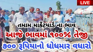 kapas na bhav  15112024  કપાસના ભાવ2024  Information about cotton crop price  Commodity Trend [upl. by Anetta]